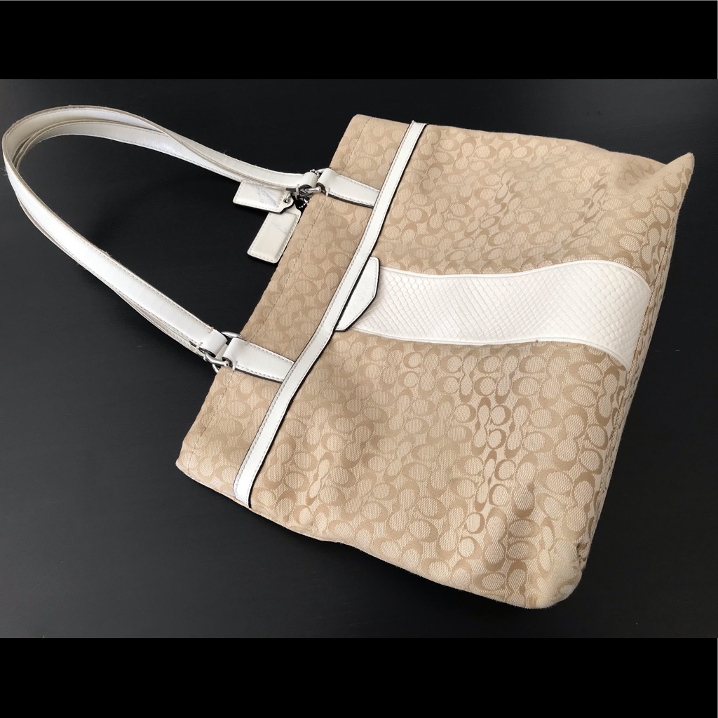 Coach Reptile Stripe Bag
